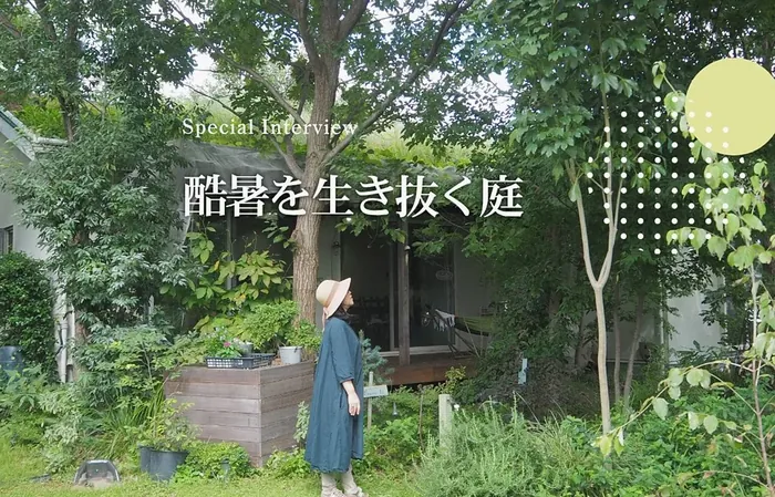 エアコンに頼らない夏の暮らし|自然の力を活かした庭づくりのヒント